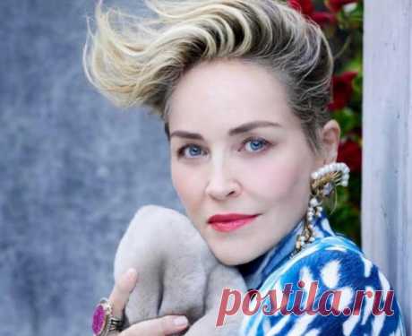 Шэрон Стоун оплакивает питомца: актриса сообщила о смерти любимой собаки