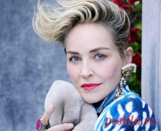 Шэрон Стоун оплакивает питомца: актриса сообщила о смерти любимой собаки