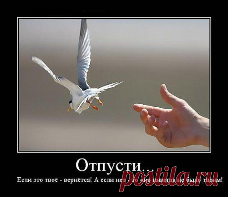 Отпусти