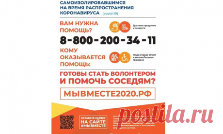 В Ярославле выросло до сотни число волонтеров, помогающих во время пандемии коронавируса пожилым людям- Яррег - новости Ярославской области