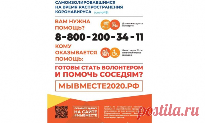 В Ярославле выросло до сотни число волонтеров, помогающих во время пандемии коронавируса пожилым людям- Яррег - новости Ярославской области