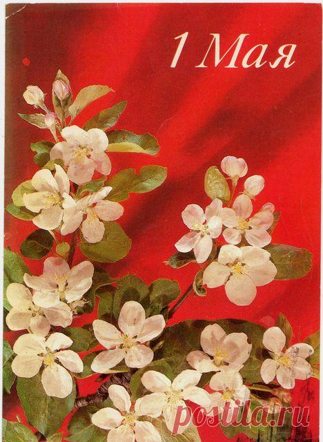 1 Мая! Почтовая открытка. Фото И.Дергилева. Изд. Министерство связи СССР. МТ Гознака (Московская типография Гознака ). Тир. 14,5 млн. 1990.