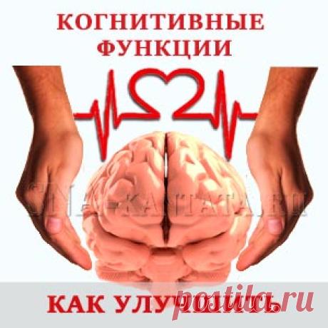 Улучшение когнитивных функций. Аэробика для мозга