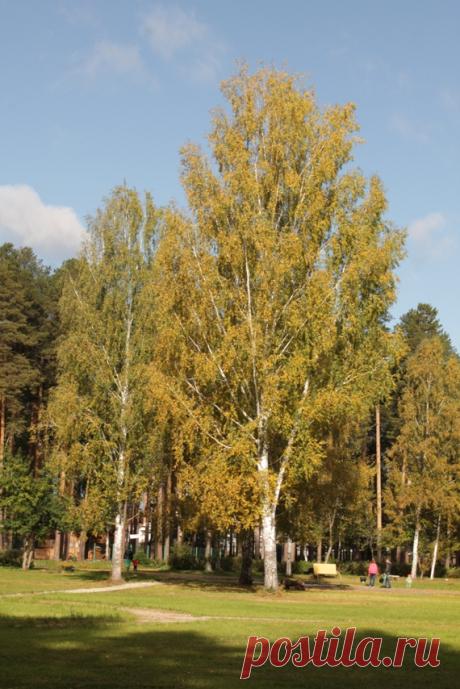 В парке