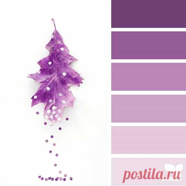 today's inspiration image for { color leaf } is by @georgiestclair ... thank you, Georgie, for another amazing #SeedsColor image share!