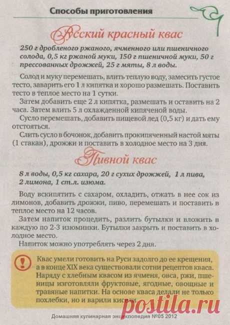 Русский красный квас. Пивной квас