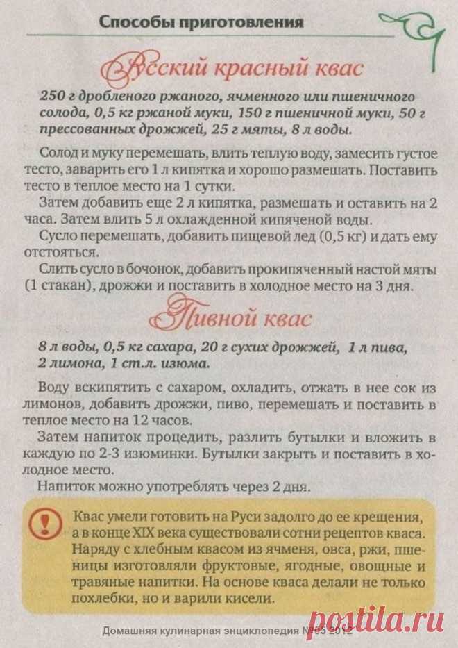 Русский красный квас. Пивной квас