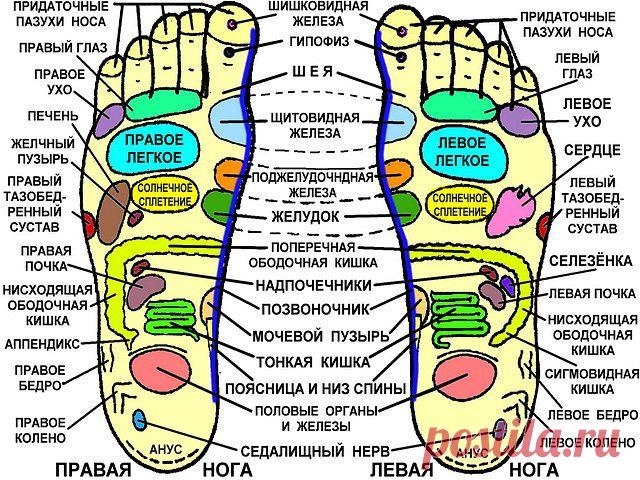 Как лук в носках может изменить вашу жизнь.