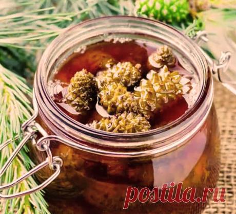 Сварил кроворазжижающий сироп из сосновых шишек В деле разжижения крови, сироп из сосновых шишек является непревзойденным лидером. А вкусный какой! В старинном издании выписал рецептуру приготовления сиропа, или варения, как угодно можно называт…