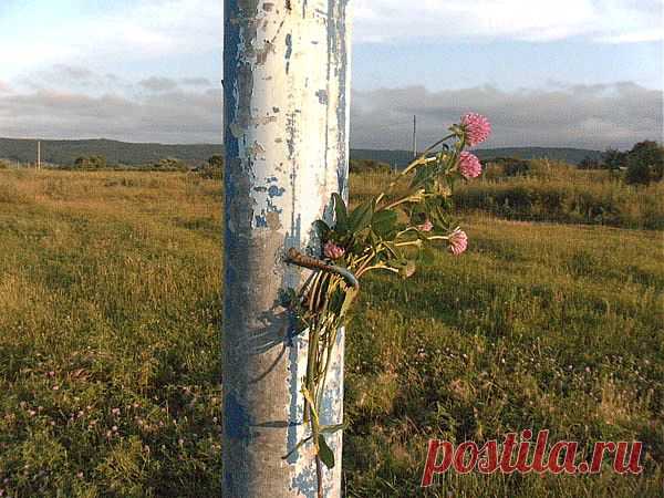 Некрасивых женщин не бывает (Леонид Галаюда) / Стихи.ру - национальный сервер современной поэзии