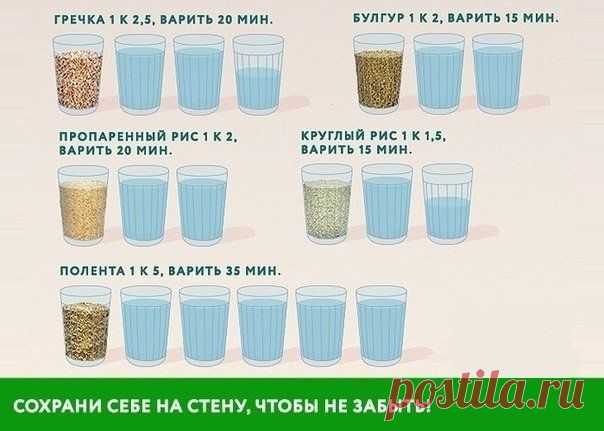 Азбука Домоводства. Хозяйкам, мамам и женам!