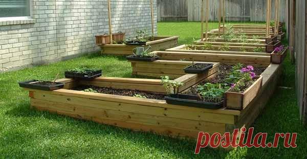 Как сделать высокие грядки на даче: 100 полезных идей