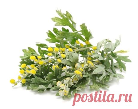 Мой Мир@Mail.Ru