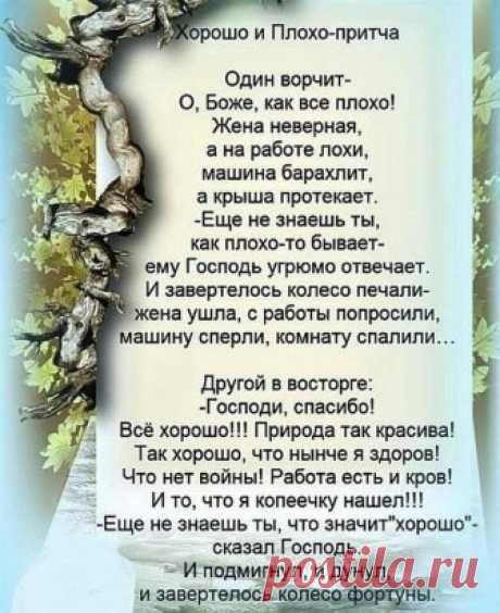 Друзья, давайте будем позитивными и,естественно,  будем жить хорошо!
#Жизньодна #ионапрекрасна #москва #март #толиещебудет #ОльгаФомина #явсемогу