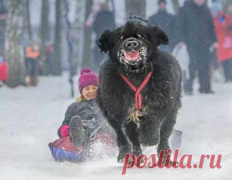 позитив - Поиск в Google