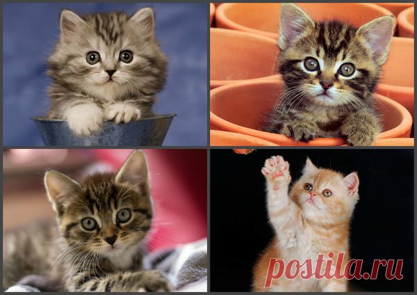 Фото Без названия. Альбом Фото группы - 11073 фото. Фотографии Жемчужные мысли... Оригинал.