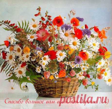 Картинки друзьям с любовью (40 фото) ⭐ Забавник