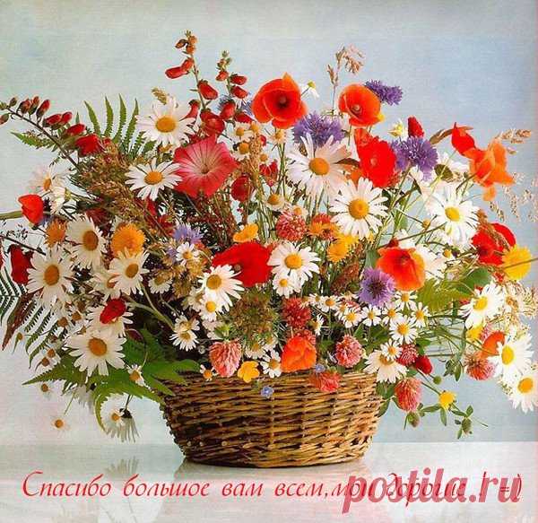 Картинки друзьям с любовью (40 фото) ⭐ Забавник