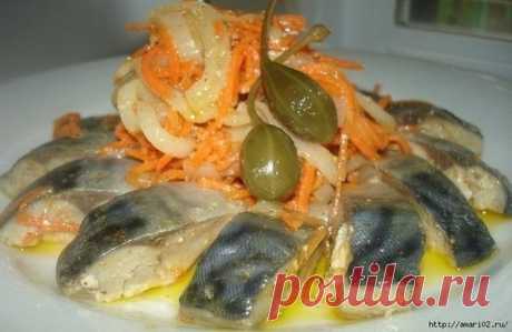Готовим вкусную скумбрию.

Рецепт очень простой, но по нему получается очень вкусная эта рыбка скумбрия. Не проходите мимо этой вкуснятины. Гарнир может быть любой.

Ингредиенты:

скумбрия - 2 шт.

лук репчатый - 2 шт.
морковь - 1 шт.
уксус, майонез по вкусу.

Рыбу промыть и порезать на кусочки толщиной 2 см. Морковь потереть, лук мелко порезать. Уложить рыбу на сковородку, посолить, поперчить, засыпать луком и морковкой и залить соусом.

Соус: в 300 мл. кипятка положить 1...