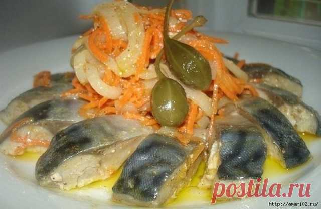 Готовим вкусную скумбрию.

Рецепт очень простой, но по нему получается очень вкусная эта рыбка скумбрия. Не проходите мимо этой вкуснятины. Гарнир может быть любой.

Ингредиенты:

скумбрия - 2 шт.

лук репчатый - 2 шт.
морковь - 1 шт.
уксус, майонез по вкусу.

Рыбу промыть и порезать на кусочки толщиной 2 см. Морковь потереть, лук мелко порезать. Уложить рыбу на сковородку, посолить, поперчить, засыпать луком и морковкой и залить соусом.

Соус: в 300 мл. кипятка положить 1...