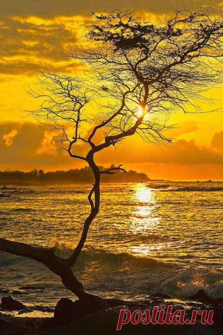 Stunning Sunset ~ Dreamy Nature  |  Найдено на сайте dreamynature2014.blogspot.com.