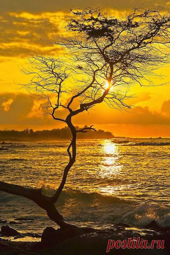 Stunning Sunset ~ Dreamy Nature  |  Найдено на сайте dreamynature2014.blogspot.com.