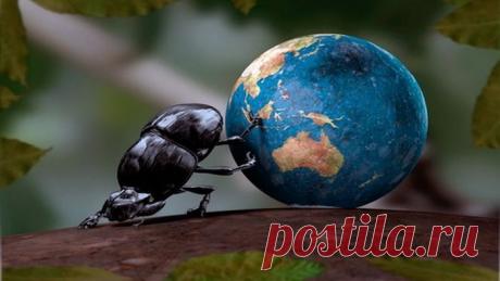 Fishki.net - Сайт хорошего настроения