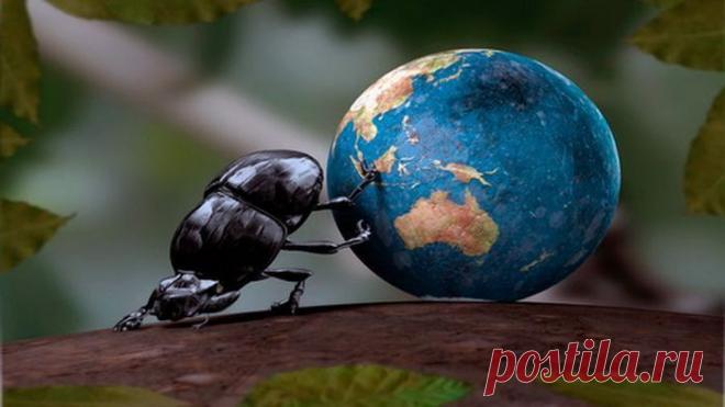 Fishki.net - Сайт хорошего настроения