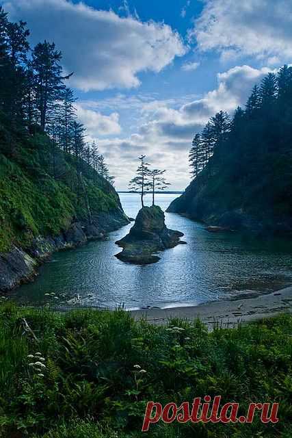 ✯ Dead Mans Cove - Cape Disappointment - Washington State
от paulgillphoto  |  Pinterest • Всемирный каталог идей