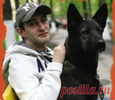 В приюте его уговаривали не брать больную собаку, но Константин Хабенский решил иначе