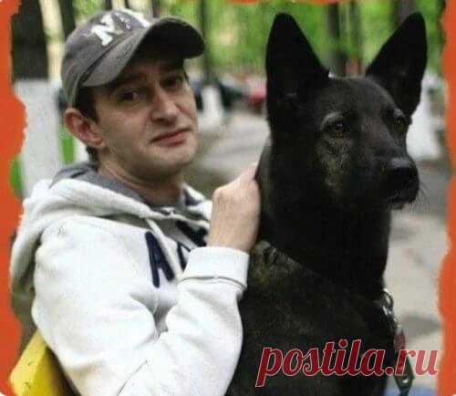 В приюте его уговаривали не брать больную собаку, но Константин Хабенский решил иначе