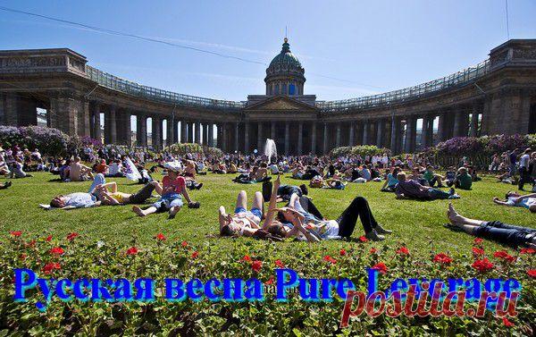 Русская весна Pure Leverage в Санкт-Петербурге | Pure Leverage - Элитные маркетинговые инструменты
Сегодня я официально объявлено, что начался обратный отсчет времени на наш первый в истории «ЖИВОЙ семинар Pure Leverage с Участием Основателя Компании», в котором сможет принять участие каждый участник нашего сообщества…