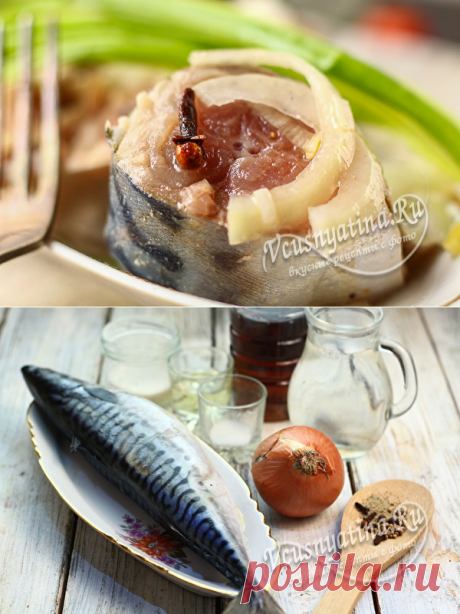 Скумбрия маринованная в домашних условиях, очень вкусная: рецепт с луком и уксусом и маслом