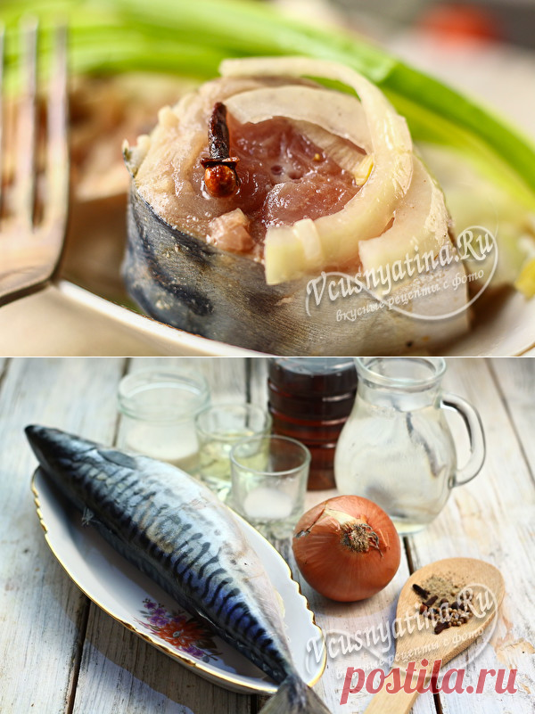 Скумбрия маринованная в домашних условиях, очень вкусная: рецепт с луком и уксусом и маслом