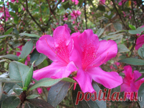 29 Пальм - Клуб путешествий Павла Аксенова > Карибы – 2013