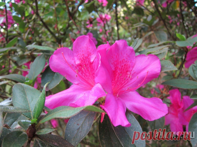 29 Пальм - Клуб путешествий Павла Аксенова > Карибы – 2013