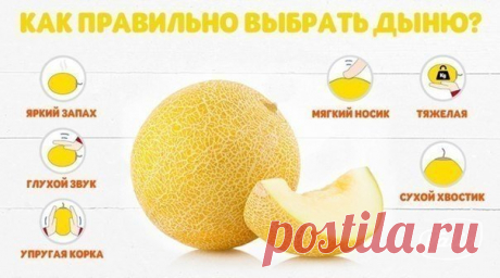Как правильно выбрать дыню.