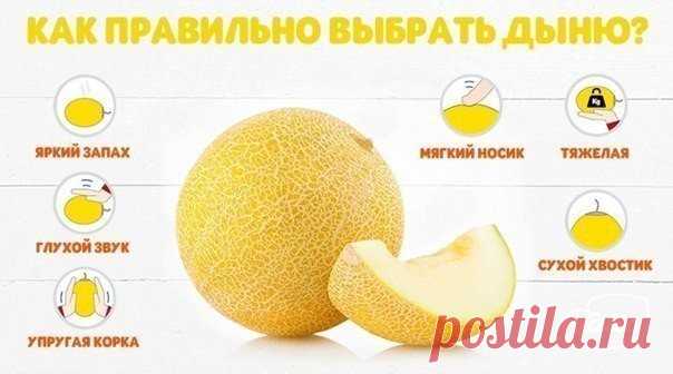 Как правильно выбрать дыню.