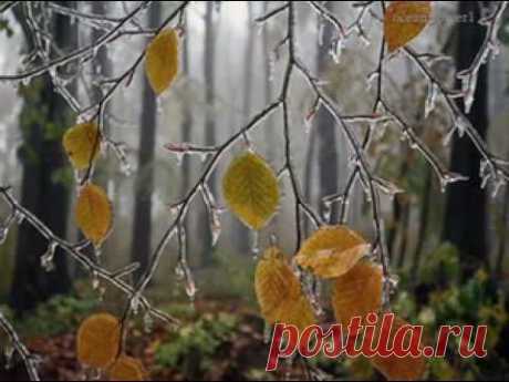 ERNESTO CORTAZAR - L'Adieu - YouTube