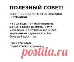 (1) Одноклассники