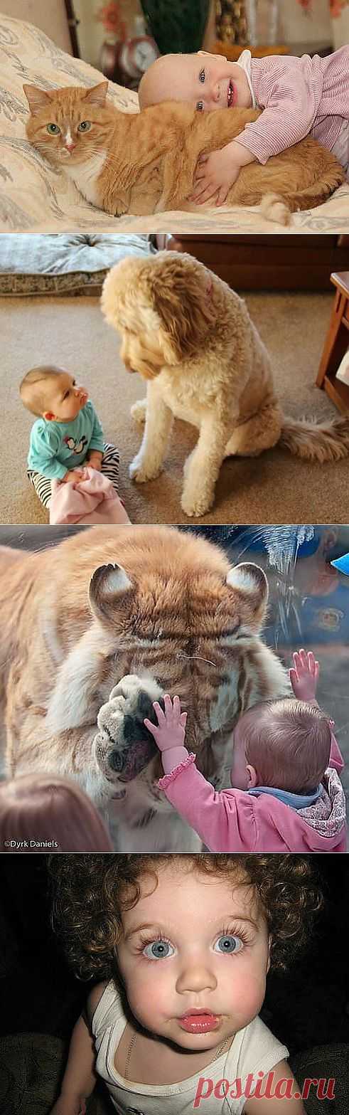 просто загляденье