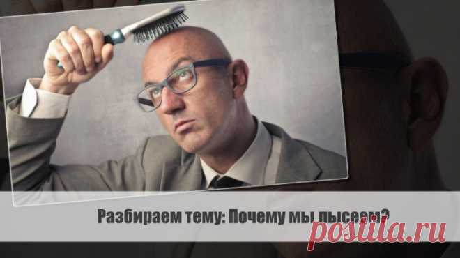 Разбираем тему: Почему мы лысеем?