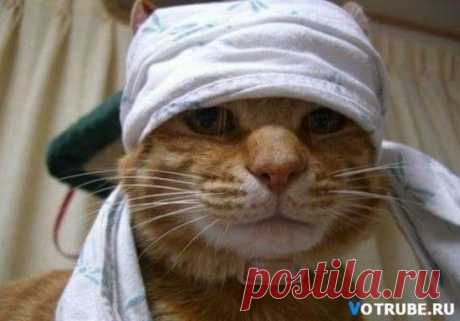 (2) Facebook