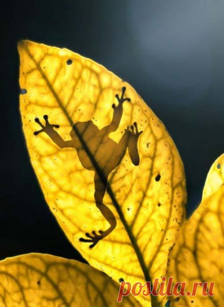 laperwa » Blog Archive » So Beautiful