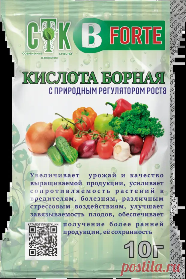 10 копеечных аптечных средств, которые творят чудеса на даче - Кухня и дом - медиаплатформа МирТесен