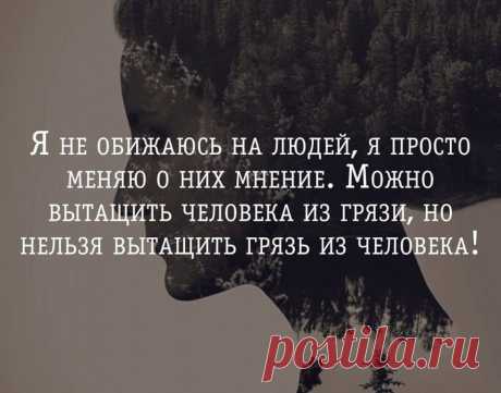 (80) Одноклассники