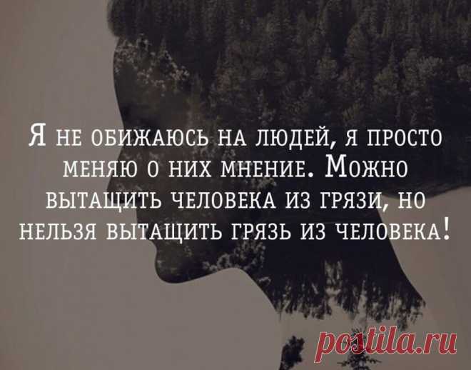 (80) Одноклассники