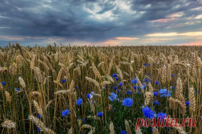 25 ярких фотографий из разных уголков мира от сообщества 500px