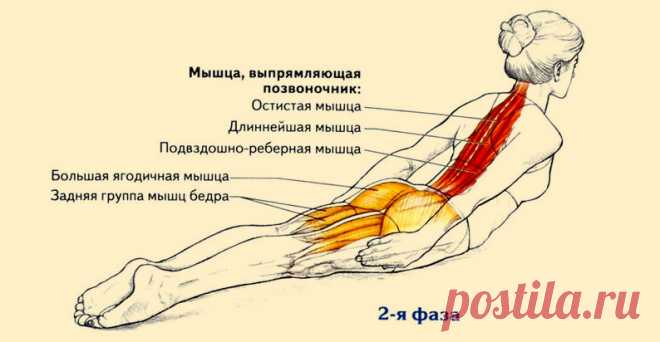 Всего одно упражнение для королевской осанки Идеально для всех, кто засиживается перед компьютером.