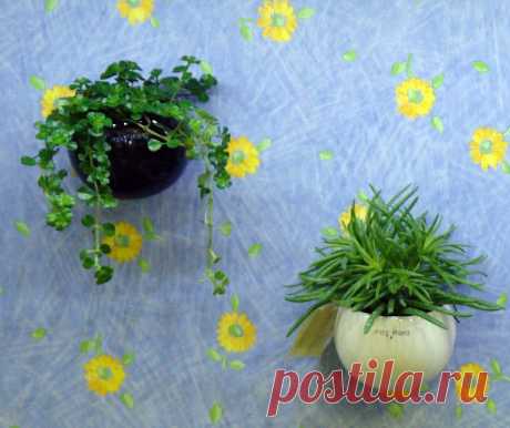 Мемомагнетика - вы тоже не знаете что это такое?